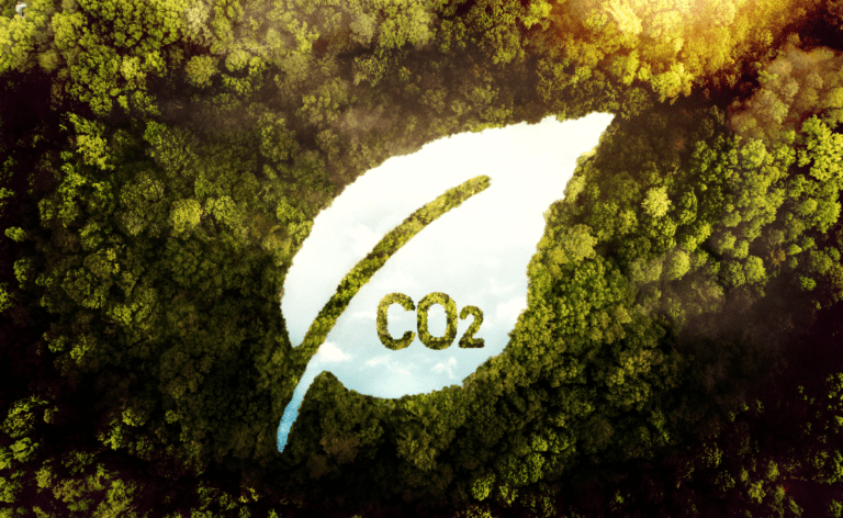 Carbon Footprint in the Digital Age: The Environmental Impact of the Internet